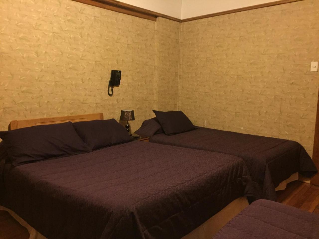 Hostal Chalet Las Violetas Punta Arenas Eksteriør bilde