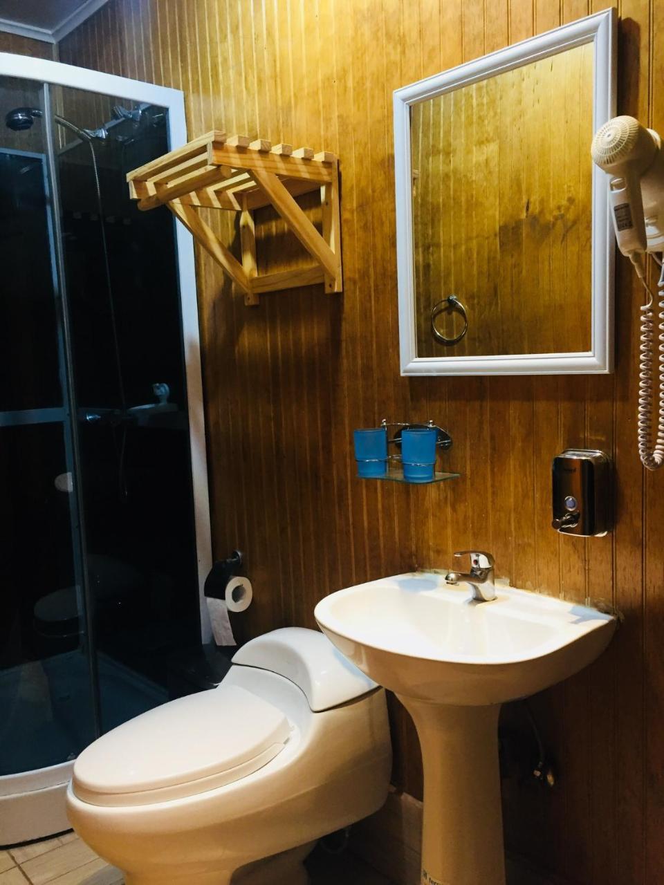Hostal Chalet Las Violetas Punta Arenas Eksteriør bilde