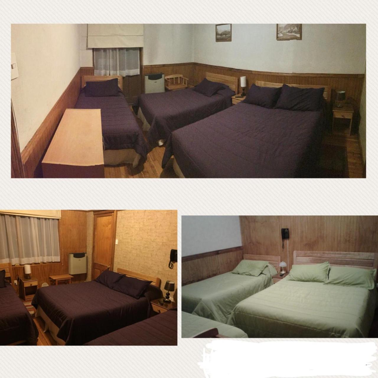 Hostal Chalet Las Violetas Punta Arenas Eksteriør bilde